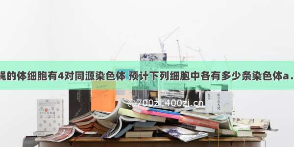 单选题果蝇的体细胞有4对同源染色体 预计下列细胞中各有多少条染色体a．初级精母