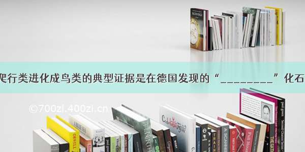 爬行类进化成鸟类的典型证据是在德国发现的“________”化石．