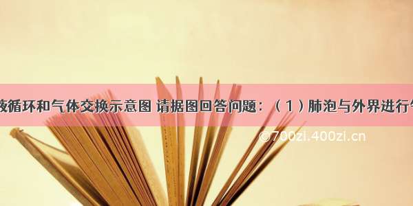 如图 是血液循环和气体交换示意图 请据图回答问题：（1）肺泡与外界进行气体交换是