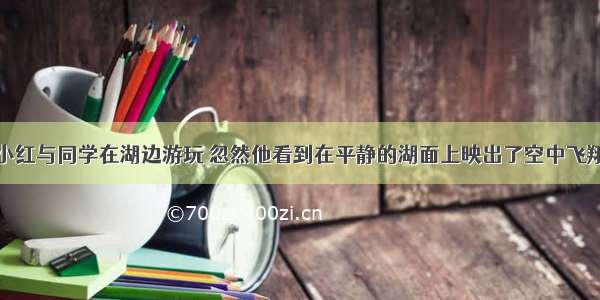 元旦假日 小红与同学在湖边游玩 忽然他看到在平静的湖面上映出了空中飞翔的小鸟 小