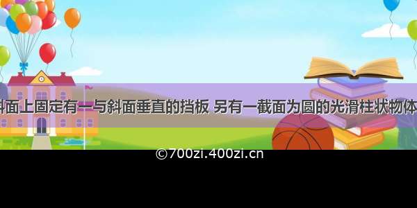 如图所示 斜面上固定有一与斜面垂直的挡板 另有一截面为圆的光滑柱状物体甲放置于斜