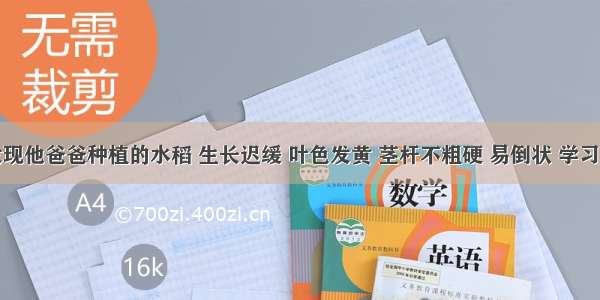 某学生发现他爸爸种植的水稻 生长迟缓 叶色发黄 茎杆不粗硬 易倒状 学习化学后要