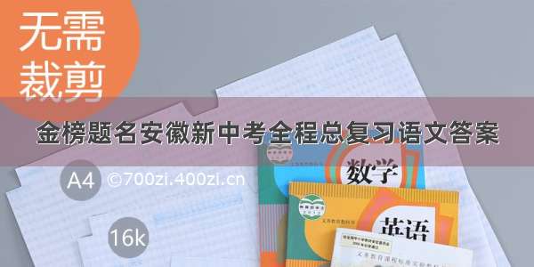 金榜题名安徽新中考全程总复习语文答案