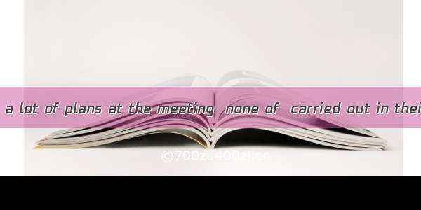 They put forward a lot of plans at the meeting  none of  carried out in their work.A. whic