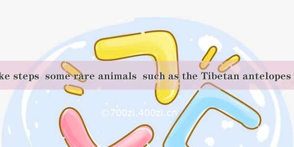 If we don’t take steps  some rare animals  such as the Tibetan antelopes and pandas will