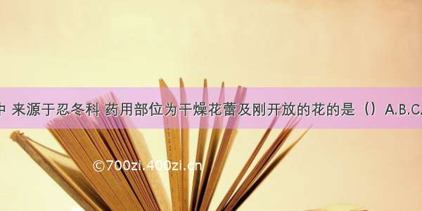 图中 来源于忍冬科 药用部位为干燥花蕾及刚开放的花的是（）A.B.C.D.E.