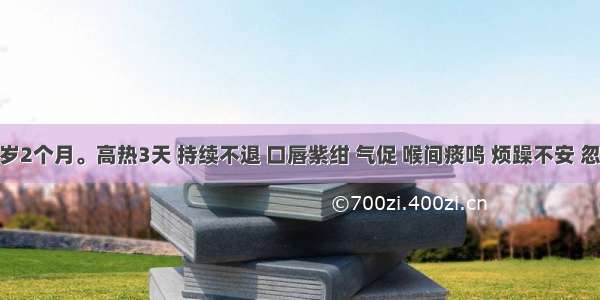 患儿 2岁2个月。高热3天 持续不退 口唇紫绀 气促 喉间痰鸣 烦躁不安 忽见神昏