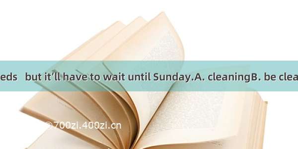 The library needs   but it’ll have to wait until Sunday.A. cleaningB. be cleanedC. cleanD.