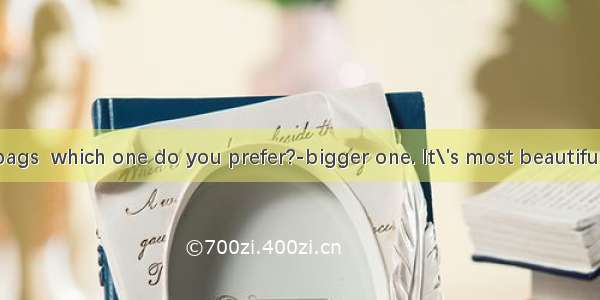 - Of the two bags  which one do you prefer?-bigger one. It\'s most beautiful one  I think.A
