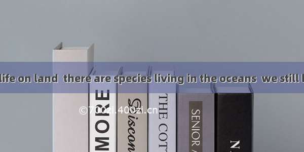 Besides wildlife on land  there are species living in the oceans  we still know little.A.