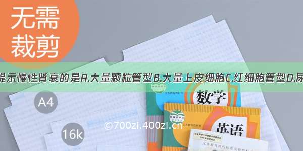 尿常规检查提示慢性肾衰的是A.大量颗粒管型B.大量上皮细胞C.红细胞管型D.尿比重固定于