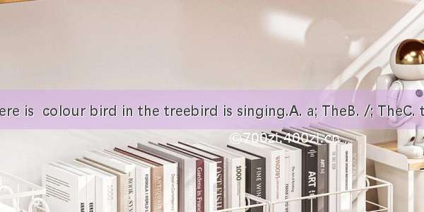 Look! There is  colour bird in the treebird is singing.A. a; TheB. /; TheC. the; AD. a;
