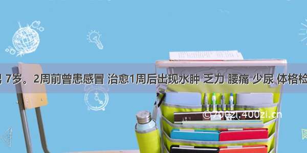 患儿 男 7岁。2周前曾患感冒 治愈1周后出现水肿 乏力 腰痛 少尿 体格检查：心