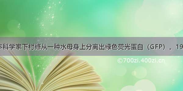 1962年 日本科学家下村修从一种水母身上分离出绿色荧光蛋白（GFP）。1992年后 马丁