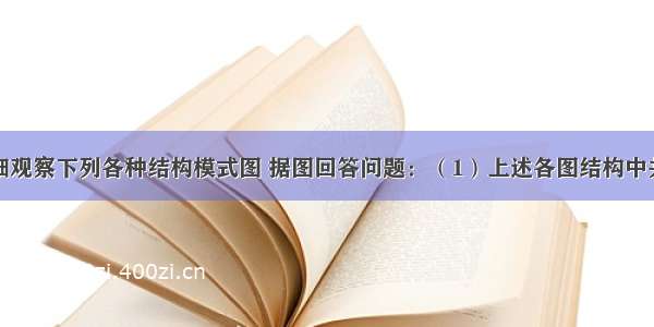 （8分）仔细观察下列各种结构模式图 据图回答问题：（1）上述各图结构中共有的有机物