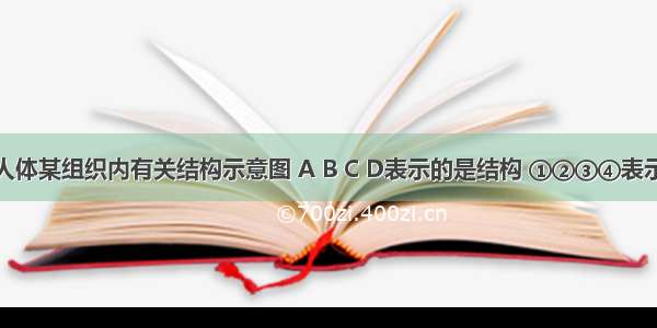 右下图是人体某组织内有关结构示意图 A B C D表示的是结构 ①②③④表示的是液体