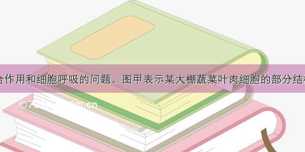 回答有关光合作用和细胞呼吸的问题。图甲表示某大棚蔬菜叶肉细胞的部分结构和相关代谢