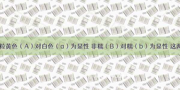 已知玉米子粒黄色（A）对白色（a）为显性 非糯（B）对糯（b）为显性 这两对性状自由