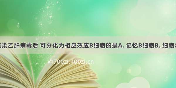 人体首次感染乙肝病毒后 可分化为相应效应B细胞的是A. 记忆B细胞B. 细胞毒性T细胞C