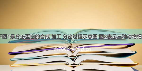 （6分）下图1是分泌蛋白的合成 加工 分泌过程示意图 图2表示三种动物细胞器中的有