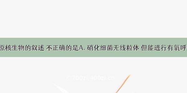 下列关于原核生物的叙述 不正确的是A. 硝化细菌无线粒体 但能进行有氧呼吸B. 蓝藻