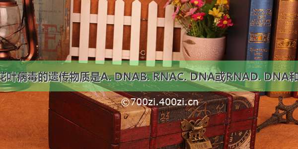 烟草花叶病毒的遗传物质是A. DNAB. RNAC. DNA或RNAD. DNA和RNA