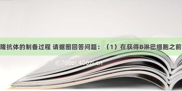 下图为单克隆抗体的制备过程 请据图回答问题：（1）在获得B淋巴细胞之前 小鼠已被多