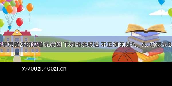 下图是制备单克隆体的过程示意图 下列相关叙述 不正确的是A。A. ①表示B淋巴细胞和