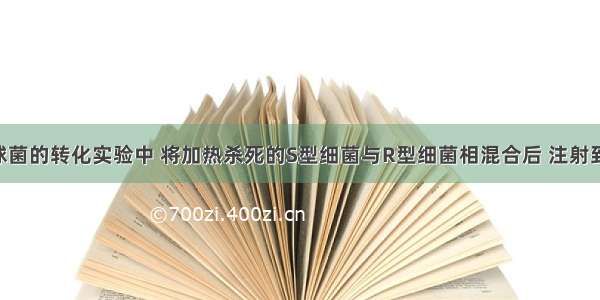 在肺炎双球菌的转化实验中 将加热杀死的S型细菌与R型细菌相混合后 注射到小鼠体内 