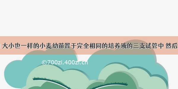 将重量相同 大小也一样的小麦幼苗置于完全相同的培养液的三支试管中 然后将它们分别