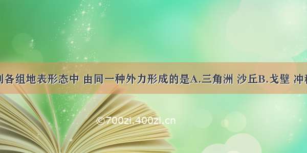 单选题下列各组地表形态中 由同一种外力形成的是A.三角洲 沙丘B.戈壁 冲积扇C.冲积