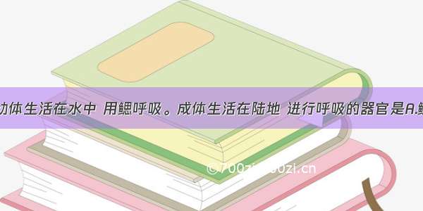 单选题青蛙幼体生活在水中 用鳃呼吸。成体生活在陆地 进行呼吸的器官是A.鳃和皮肤B.肺