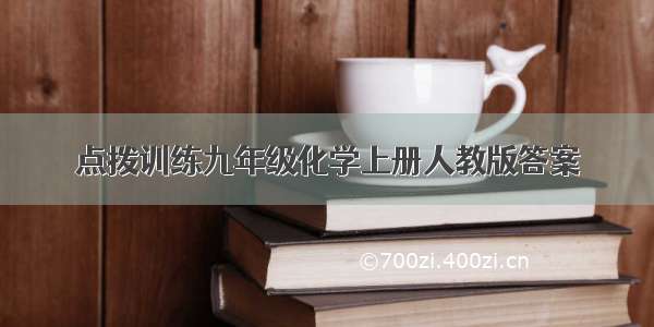 点拨训练九年级化学上册人教版答案