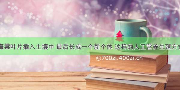 将一片秋海棠叶片插入土壤中 最后长成一个新个体 这样的人工营养生殖方式叫AA. 扦