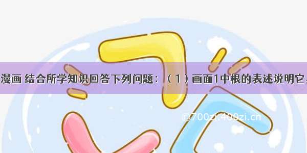 请分析如图漫画 结合所学知识回答下列问题：（1）画面1中根的表述说明它具有的功能 