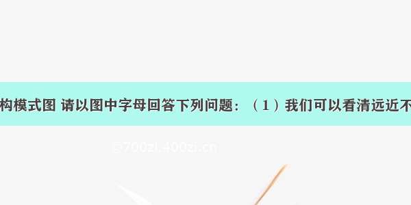 观察眼球结构模式图 请以图中字母回答下列问题：（1）我们可以看清远近不同的物体是