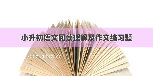 小升初语文阅读理解及作文练习题