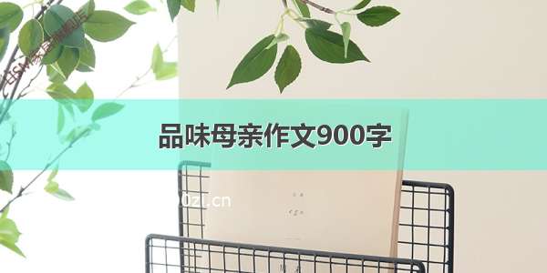 品味母亲作文900字