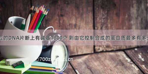 某有遗传效应的DNA片断上有碱基1800个 则由它控制合成的蛋白质最多有多少种氨基酸(  