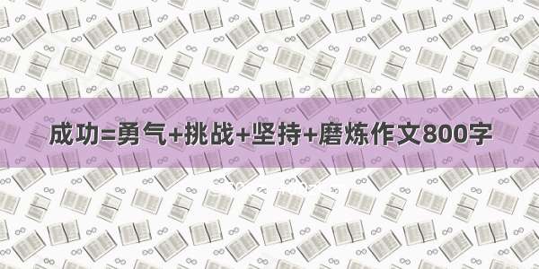 成功=勇气+挑战+坚持+磨炼作文800字