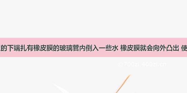 向竖直放置的下端扎有橡皮膜的玻璃管内倒入一些水 橡皮膜就会向外凸出 使玻璃管从竖