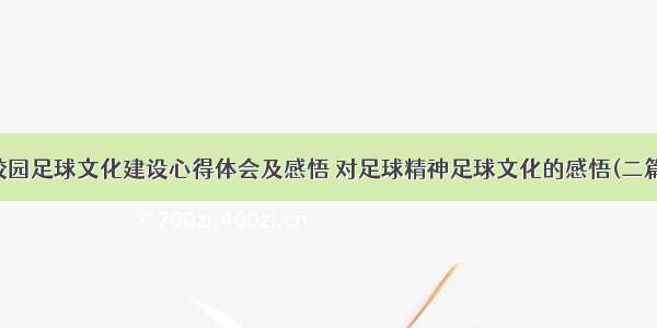 校园足球文化建设心得体会及感悟 对足球精神足球文化的感悟(二篇)