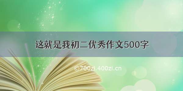 这就是我初二优秀作文500字