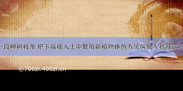 单选题剪取一段柳树枝条 把下端插入土中繁殖新植物体的方法叫做A.扦插B.压条C.营养繁