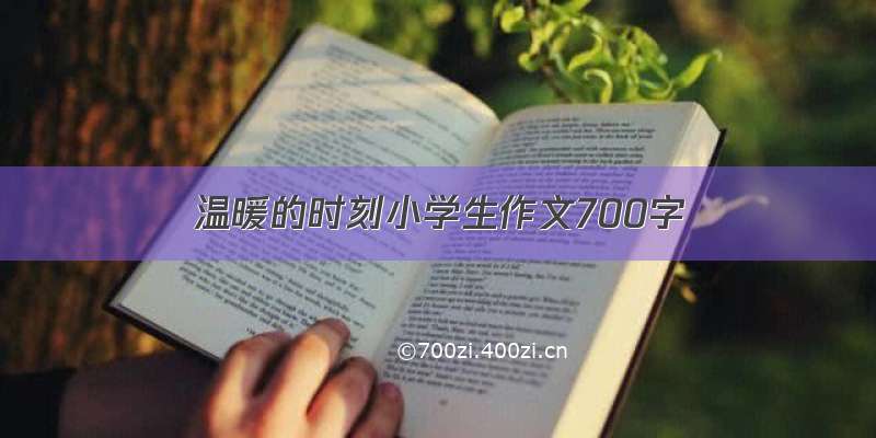 温暖的时刻小学生作文700字