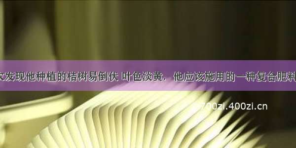 单选题某果农发现他种植的桔树易倒伏 叶色淡黄．他应该施用的一种复合肥料是A.KNO3B