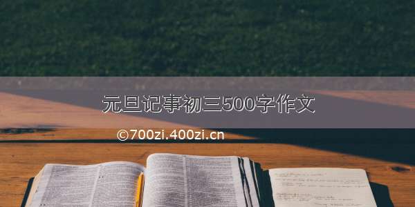 元旦记事初三500字作文