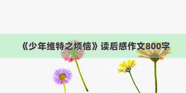 《少年维特之烦恼》读后感作文800字