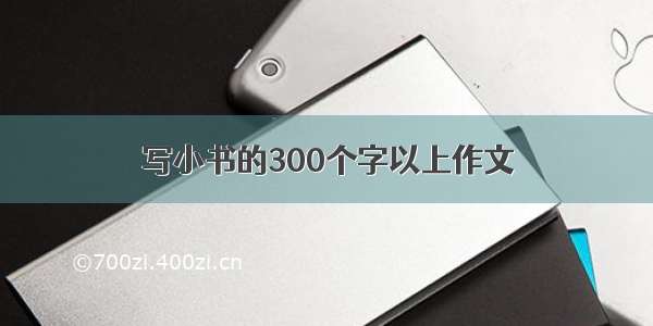 写小书的300个字以上作文