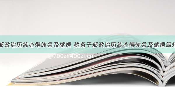 税务干部政治历练心得体会及感悟 税务干部政治历练心得体会及感悟简短(二篇)